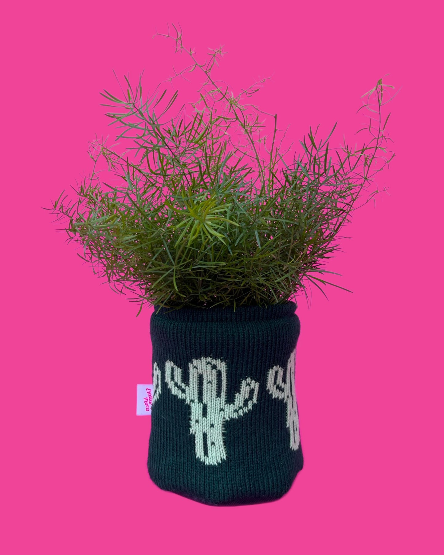 Medium Pot Cover - Cactus - All Colours