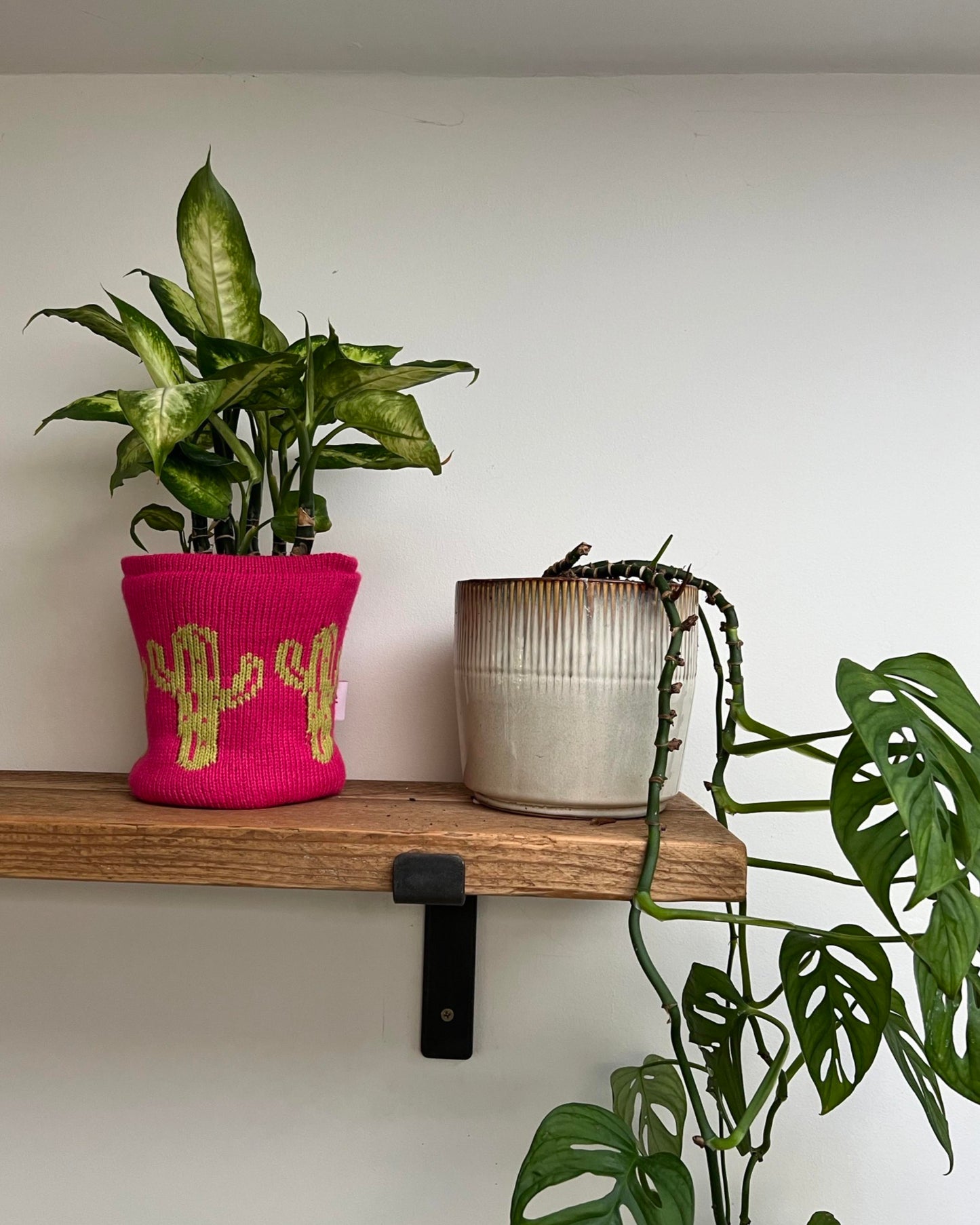 Medium Pot Cover - Cactus - All Colours