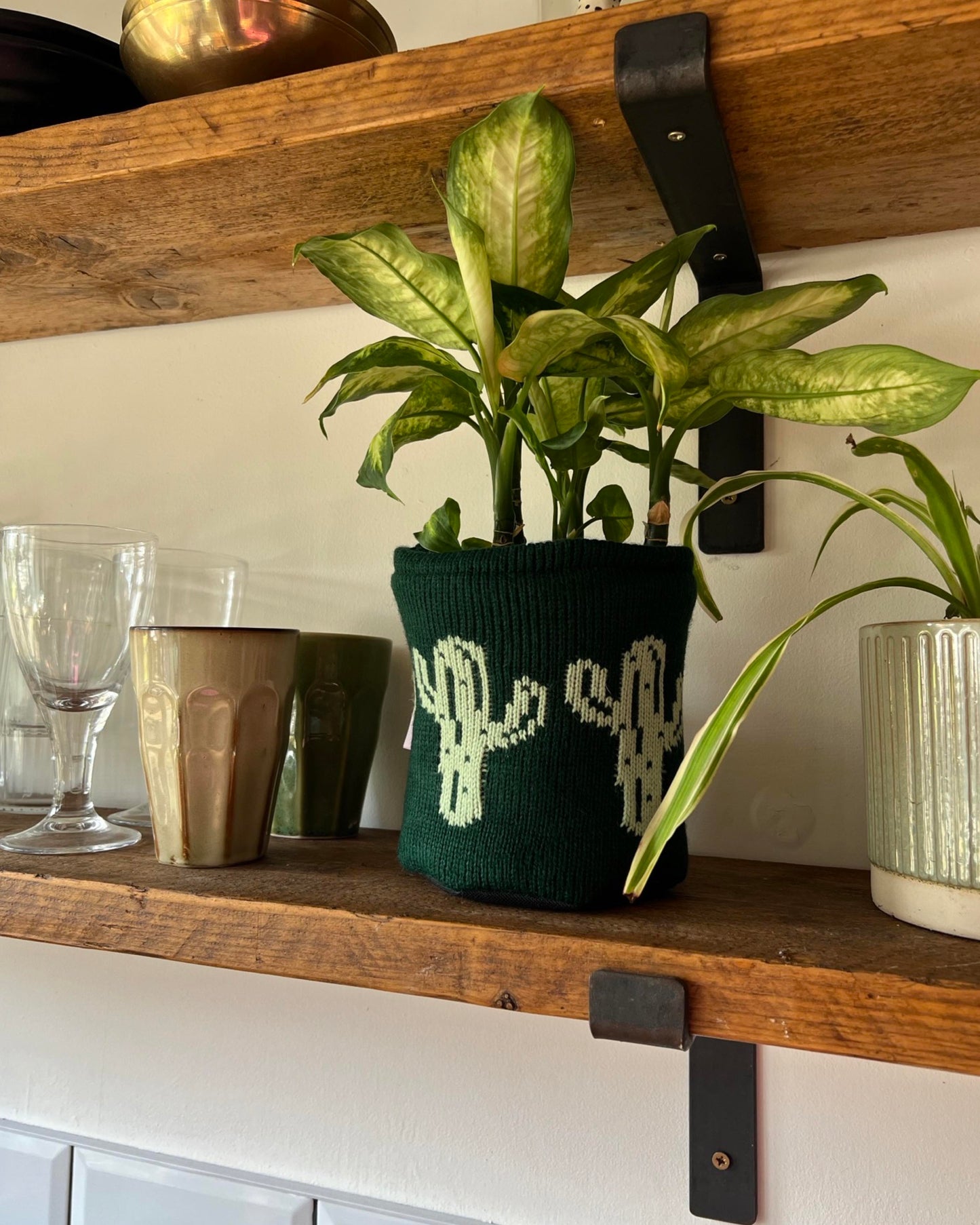 Medium Pot Cover - Cactus - All Colours