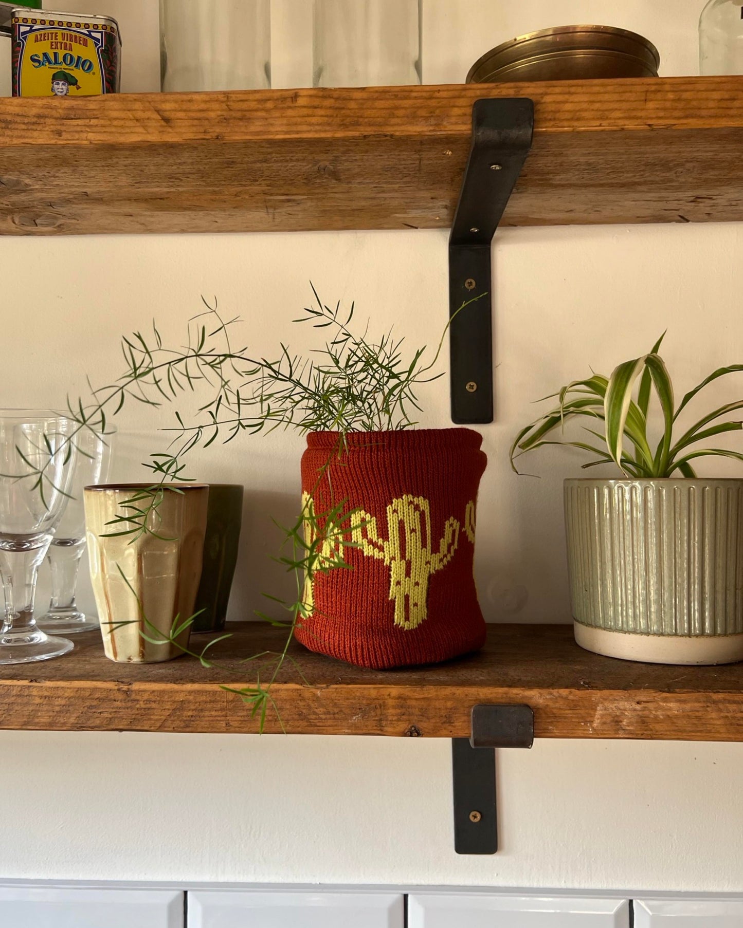 Medium Pot Cover - Cactus - All Colours