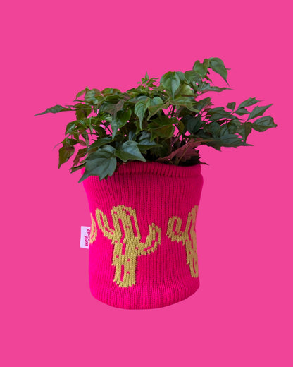 Medium Pot Cover - Cactus - All Colours