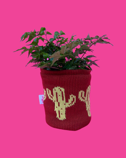 Medium Pot Cover - Cactus - All Colours