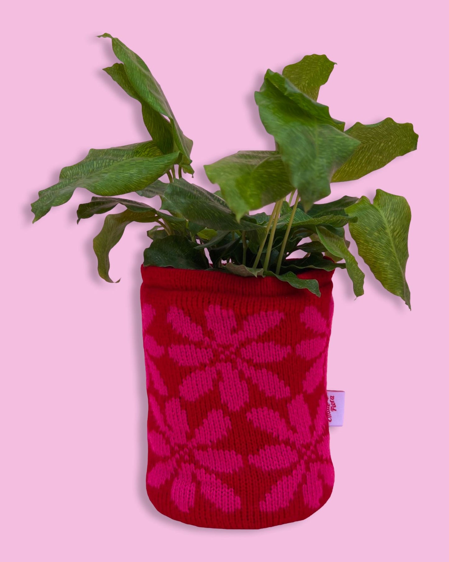 Medium Pot Cover - Clematis - All Colours