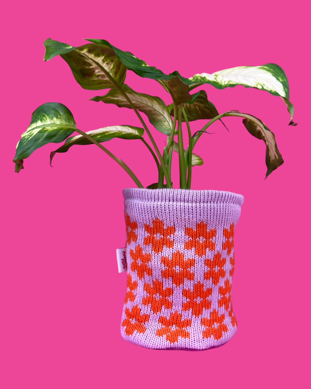 Medium Pot Cover - Lilac Blossom - All Colours