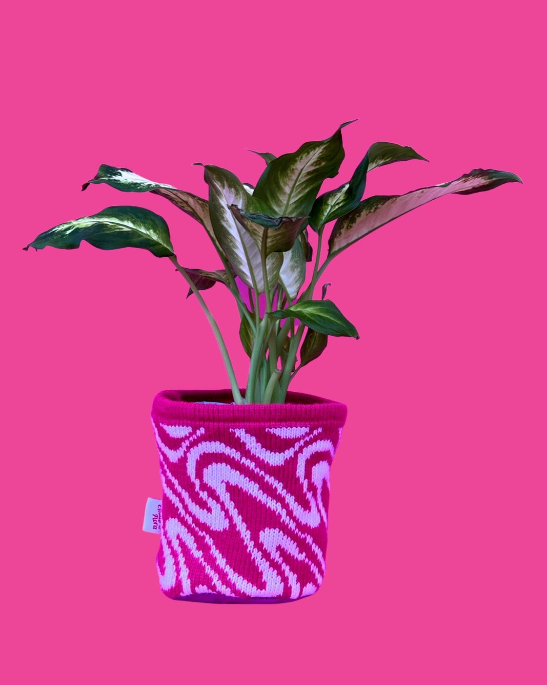 Medium Pot Cover - Swirly - All Colours